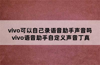 vivo可以自己录语音助手声音吗 vivo语音助手自定义声音丁真